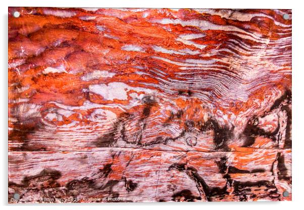 Orange Red Black White Rock Ceiling Royal Tomb Petra Jordan  Acrylic by William Perry