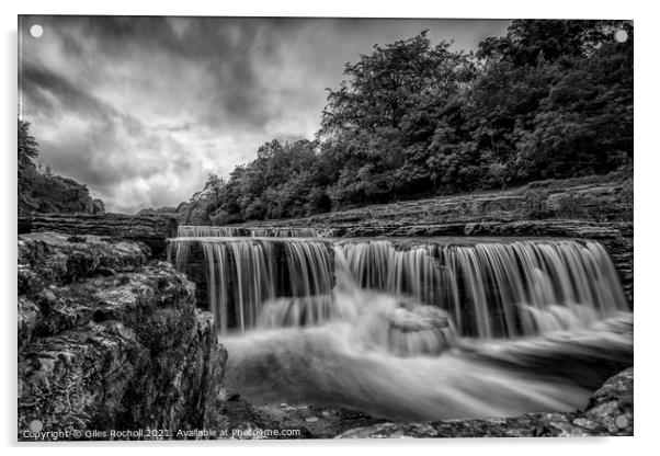 Aysgarth Falls Yorkshire Acrylic by Giles Rocholl