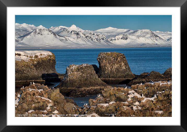 Snow and sea stacks Iceland Framed Mounted Print by Giles Rocholl