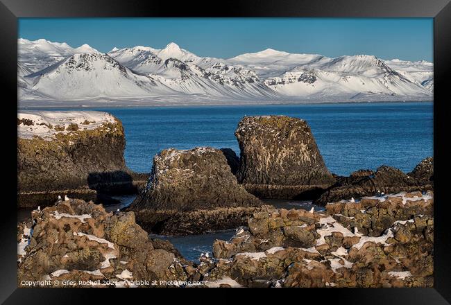 Snow and sea stacks Iceland Framed Print by Giles Rocholl