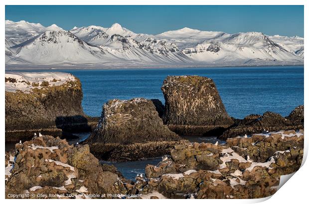 Snow and sea stacks Iceland Print by Giles Rocholl