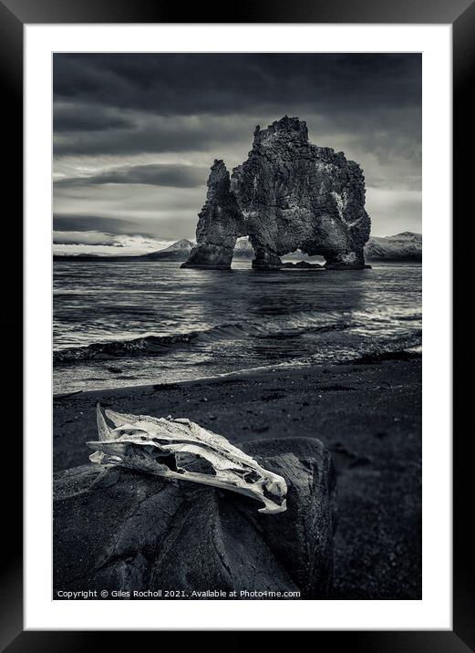 Skull and sea stack Hvítserkur Iceland Framed Mounted Print by Giles Rocholl