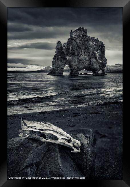Skull and sea stack Hvítserkur Iceland Framed Print by Giles Rocholl