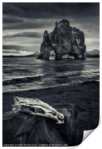 Skull and sea stack Hvítserkur Iceland Print by Giles Rocholl
