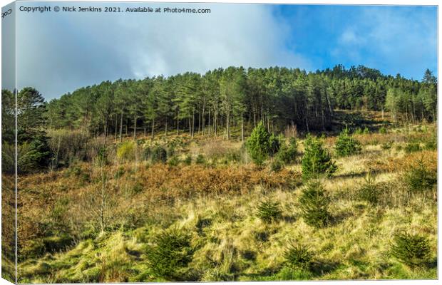 Forestry at the top of the Garw Valley South Wales Canvas Print by Nick Jenkins