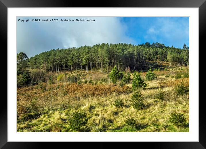 Forestry at the top of the Garw Valley South Wales Framed Mounted Print by Nick Jenkins