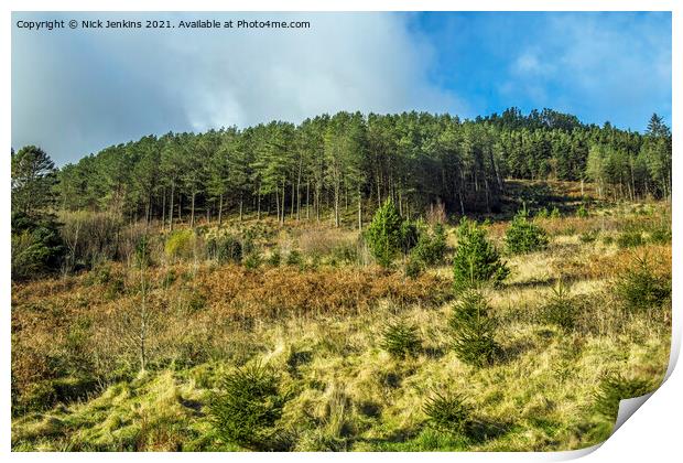 Forestry at the top of the Garw Valley South Wales Print by Nick Jenkins