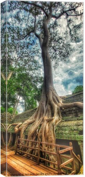 Ta Prohm Temple, Angkor Wat, Cambodia Canvas Print by Arnaud Jacobs
