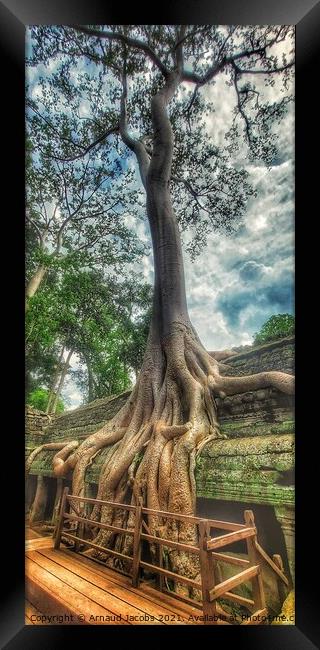 Ta Prohm Temple, Angkor Wat, Cambodia Framed Print by Arnaud Jacobs