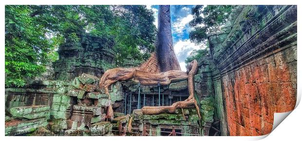 Ta Prohm Temple, Angkor Wat, Cambodia Print by Arnaud Jacobs