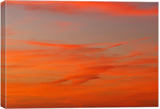 Contrails in a colourful sky Canvas Print by Rory Hailes