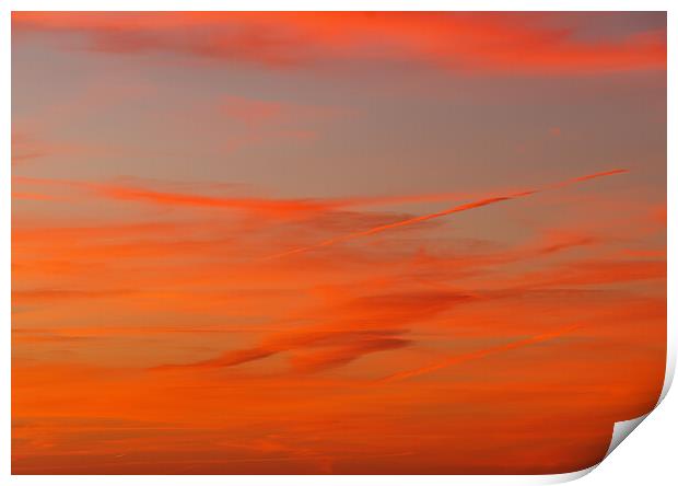 Contrails in a colourful sky Print by Rory Hailes