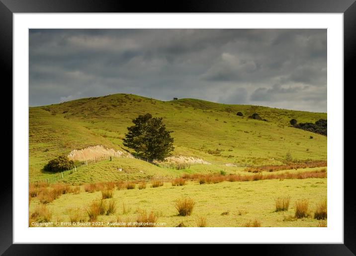 The Dargaville farming landscape in New Zealand Framed Mounted Print by Errol D'Souza