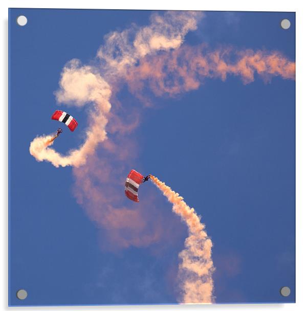 Red Devils Free Fall Parachute Team Acrylic by Ian Middleton