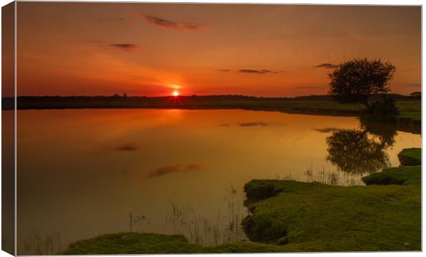 Sun set over the New Forest Canvas Print by Andy Dow