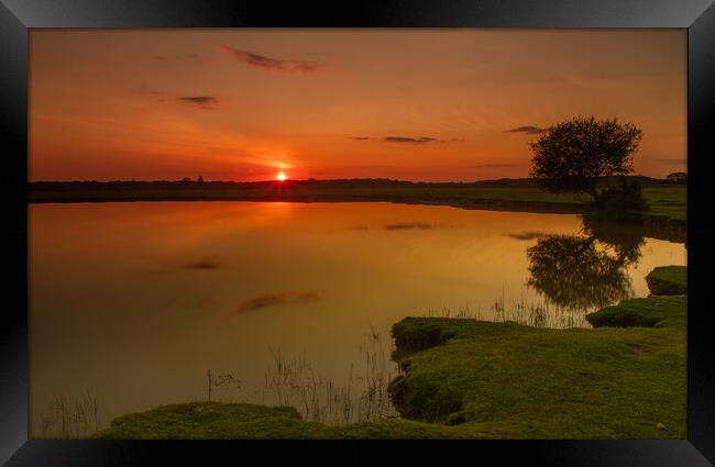 Sun set over the New Forest Framed Print by Andy Dow
