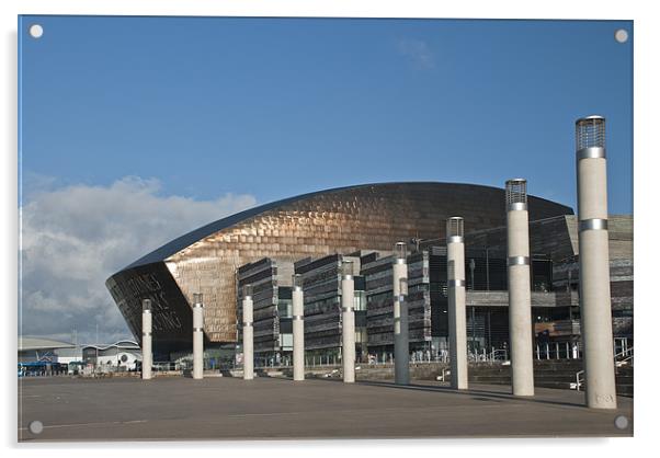 The Wales Millenium Centre Acrylic by Steve Purnell