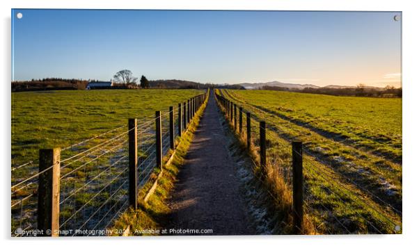 A fenced trail through agricultural land in the Scottish countryside in winter Acrylic by SnapT Photography