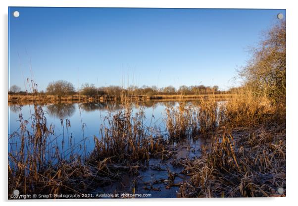 A flooded River Dee at Threave Castle, the has burst its banks during a flood Acrylic by SnapT Photography