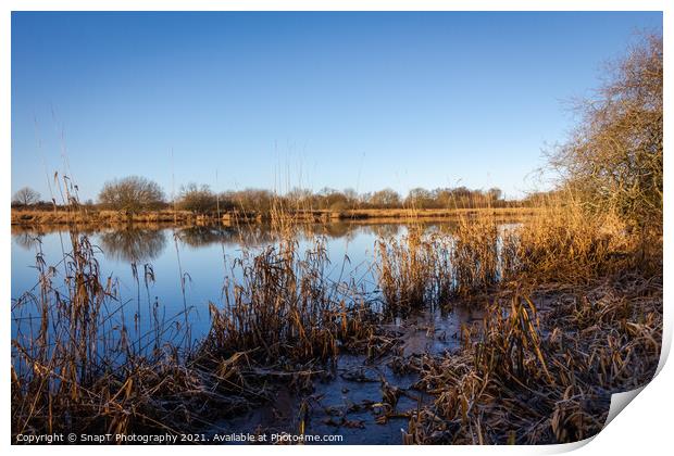 A flooded River Dee at Threave Castle, the has burst its banks during a flood Print by SnapT Photography