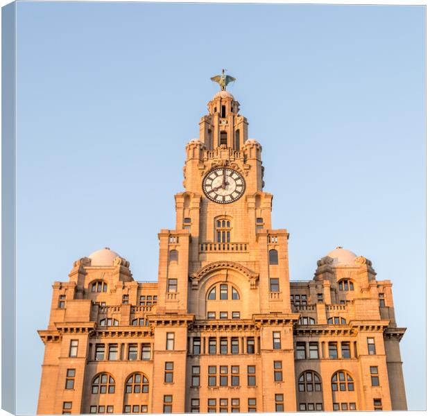 Square crop of the Royal Liver Building Canvas Print by Jason Wells