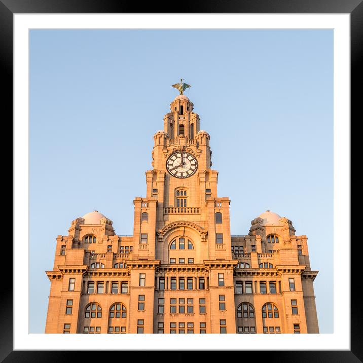 Square crop of the Royal Liver Building Framed Mounted Print by Jason Wells