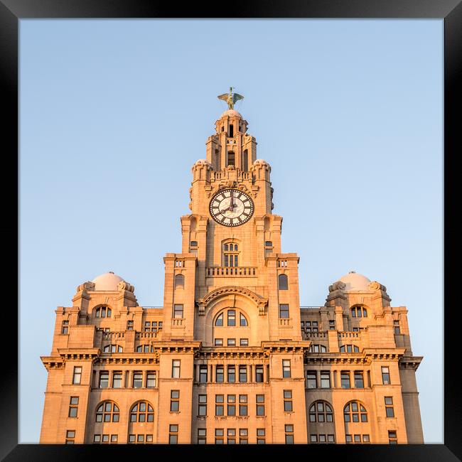 Square crop of the Royal Liver Building Framed Print by Jason Wells