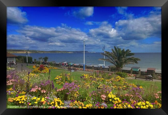A Floral Haven Overlooking Weymouth Bay Framed Print by Les Schofield