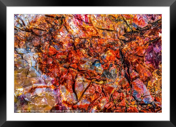 Petrified Wood Rock Abstract Background National Park Arizona Framed Mounted Print by William Perry