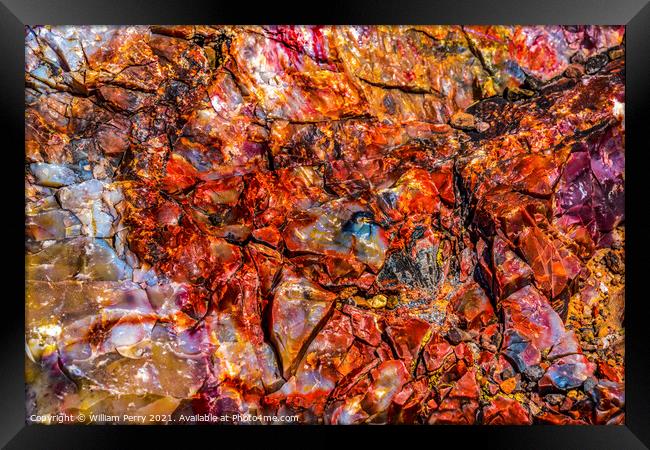 Petrified Wood Rock Abstract Background National Park Arizona Framed Print by William Perry