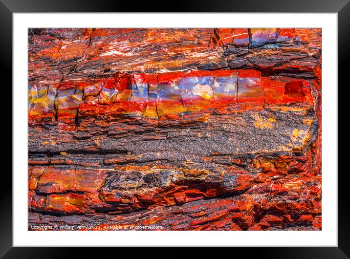 Petrified Wood Rock Abstract Background National Park Arizona Framed Mounted Print by William Perry