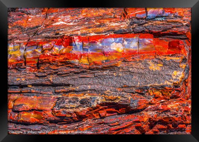 Petrified Wood Rock Abstract Background National Park Arizona Framed Print by William Perry