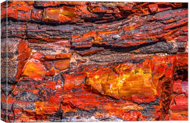 Petrified Wood Rock Abstract Background National Park Arizona Canvas Print by William Perry