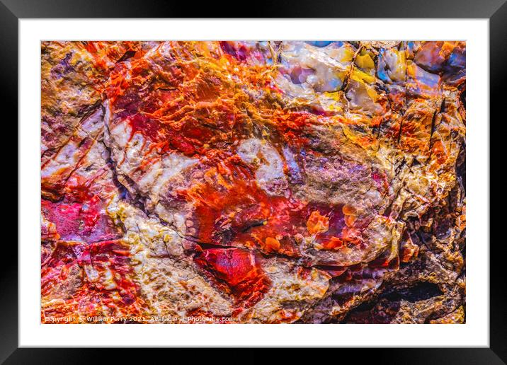 Petrified Wood Rock Abstract Background National Park Arizona Framed Mounted Print by William Perry