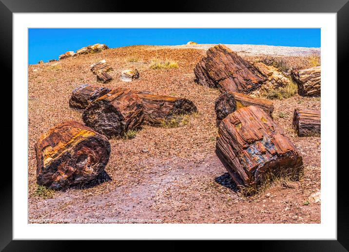 Petrified Wood Rock Logs National Park Arizona Framed Mounted Print by William Perry