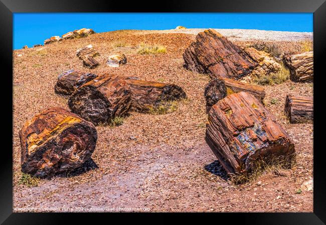 Petrified Wood Rock Logs National Park Arizona Framed Print by William Perry
