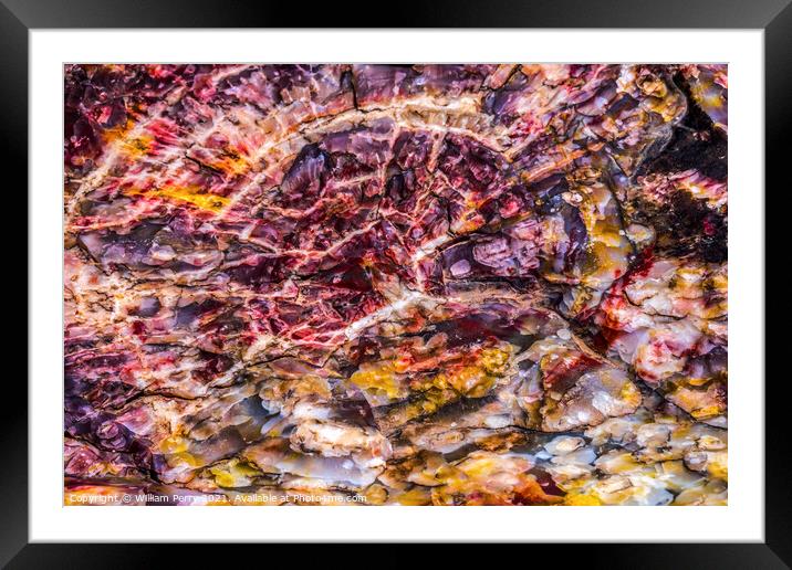 Petrified Wood Rock Abstract Background National Park Arizona Framed Mounted Print by William Perry
