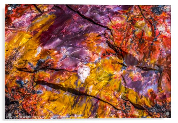 Petrified Wood Rock Abstract Background National Park Arizona Acrylic by William Perry