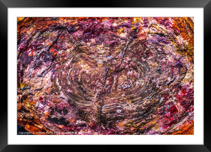 Petrified Wood Rock Abstract Background National Park Arizona Framed Mounted Print by William Perry