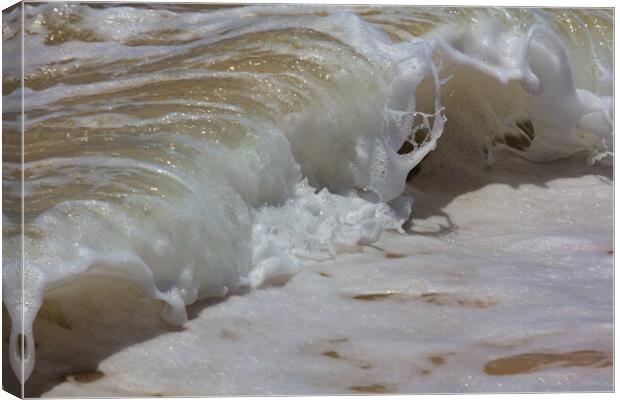 Breaking Wave in the Surf Canvas Print by Jeremy Hayden