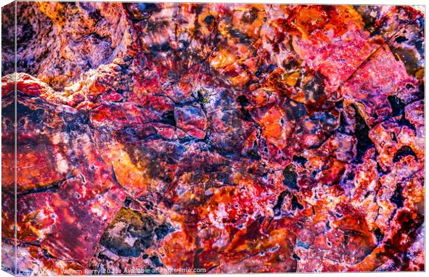 Petrified Wood Rock Abstract Background National Park Arizona Canvas Print by William Perry