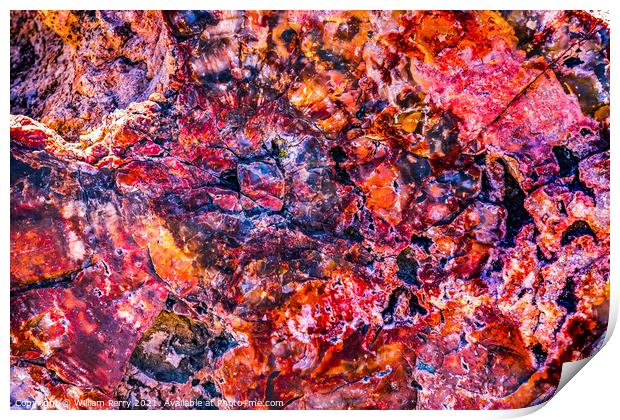 Petrified Wood Rock Abstract Background National Park Arizona Print by William Perry