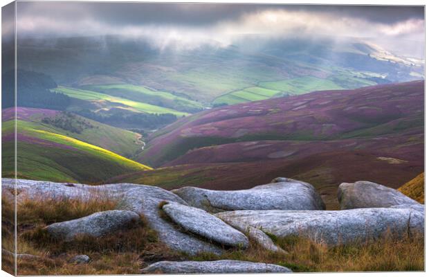Sea Lions on Kinder Scout Canvas Print by John Finney