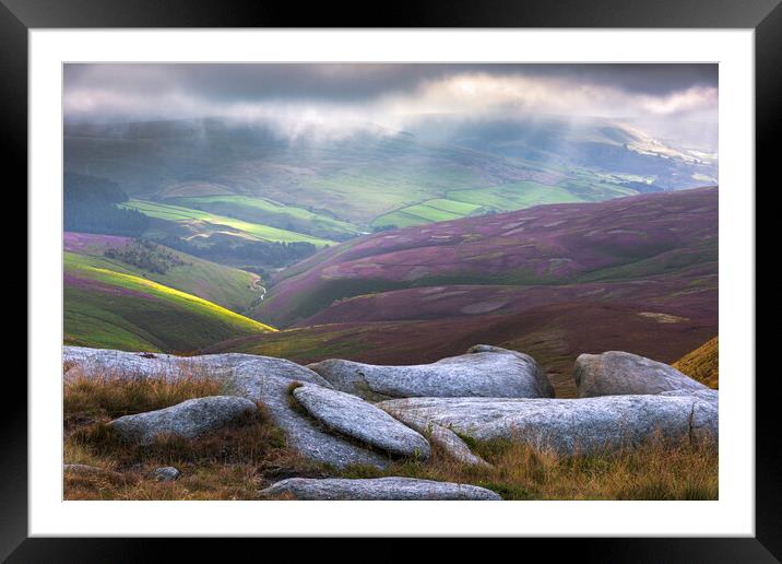 Sea Lions on Kinder Scout Framed Mounted Print by John Finney