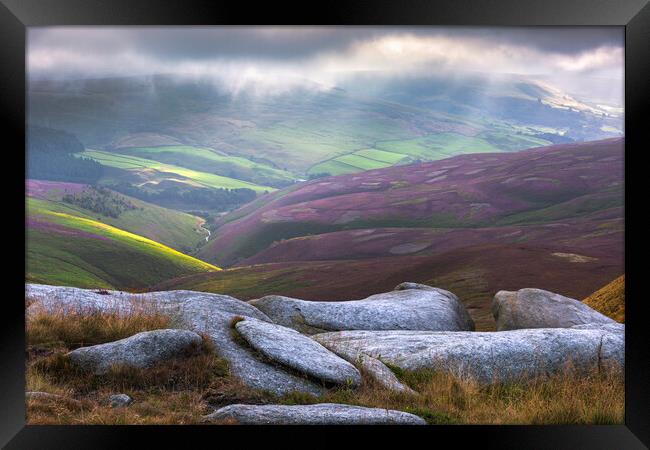 Sea Lions on Kinder Scout Framed Print by John Finney