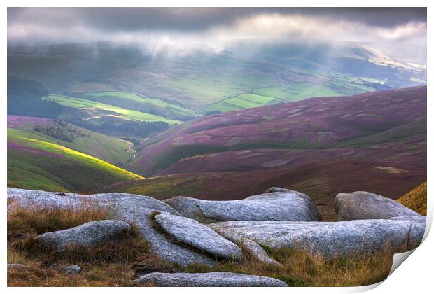 Sea Lions on Kinder Scout Print by John Finney