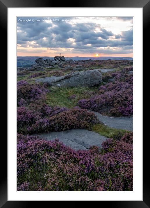 Higger Tor Heather Sunset Framed Mounted Print by Ian Haworth