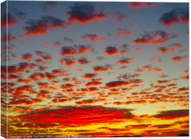 Sky cloud Canvas Print by tom harrison