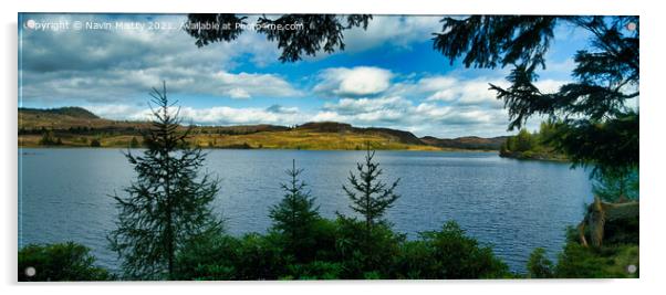 Loch Ordie near Dunkeld, Perthshire Acrylic by Navin Mistry