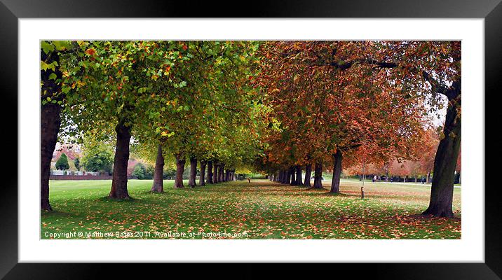 Great Windsor Park. Framed Mounted Print by Matthew Bates